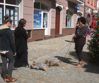 Wersalinka 2013. Esinemised Lomžas.