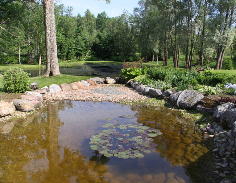 Suure-Jaani Kaunis Kodu 2013. Maakodud I koht ja eripreemia Lilled valda - Neidrevälja.