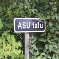 Konkurss Suure-Jaani valla Kaunis Kodu. Asu , Ivaski küla - tootmistalud I koht ja eripreemia "Lilled valda".