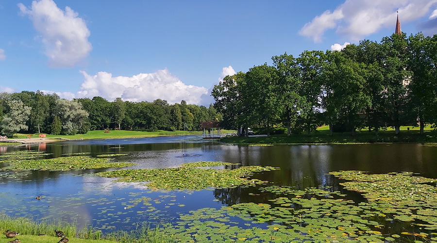 Paviljoni taastamine Suure-Jaani paisjärvel.