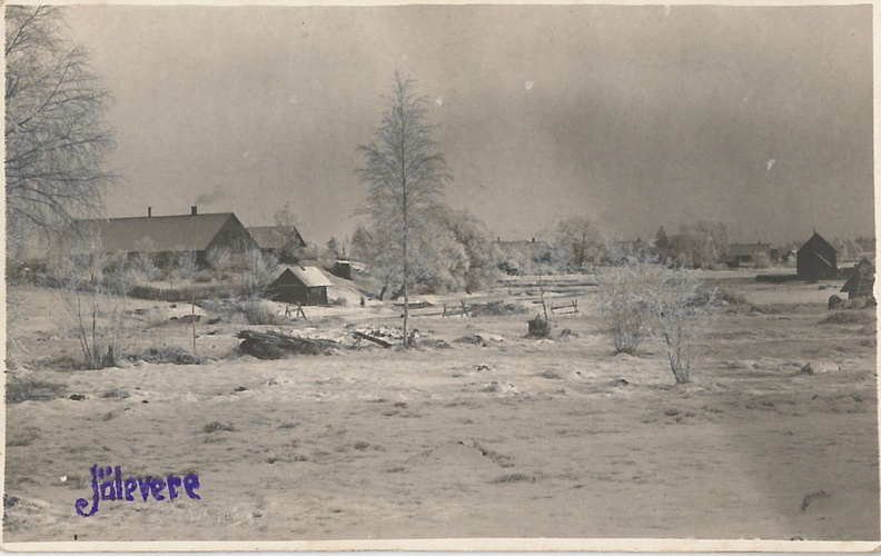 1928.a  Tiidu talu