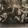 29.märts.1964.a Villem Kapi haud Suure-Jaani kalmistul