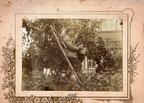 Kase kooli juhataja Jüri Nõmmik oma õunaaias 1906.a