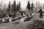 Koolipoisid sillapalke koorimas 1939.a