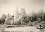 Talvine sild. u.1956.a