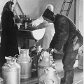 19550008_meierei.jpg