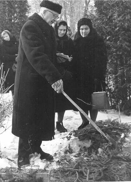 1967003_Joandi.jpg