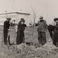 Pargi rajajad 1950-date alguses