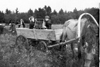 Sügisel kolhoosis u 1952.a