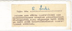 1961.a. Kutse