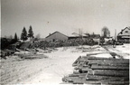 Metsamajandis 1960-date alguses