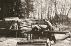 Metsamajandis 1960-date alguses