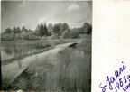 Kondase sild Suure-Jaanis 1953.a