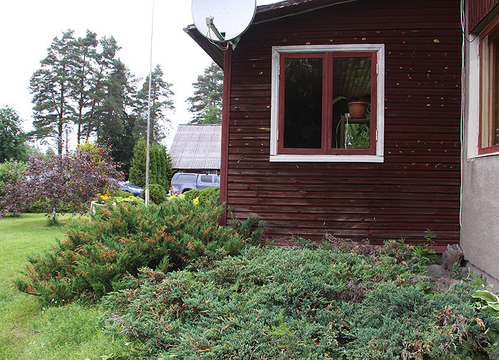 Suure-Jaani Kaunis Kodu 2014. Ergutuspreemia - Liisa.