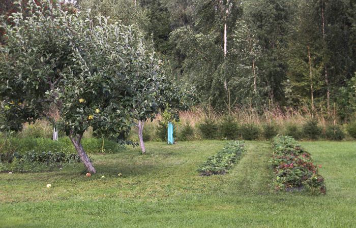 Konkurss Suure-Jaani valla Kaunis Kodu. Kaldamäe, Ängi küla - maakodud III koht.