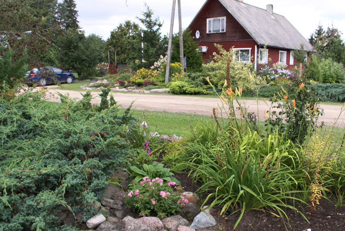 Konkurss Suure-Jaani valla Kaunis Kodu. Asu , Ivaski küla - tootmistalud I koht ja eripreemia "Lilled valda". - f_17_0520_T1_L_2_IMG_3207.jpg f_17_0520_T1_L_2_IMG_3207.jpg