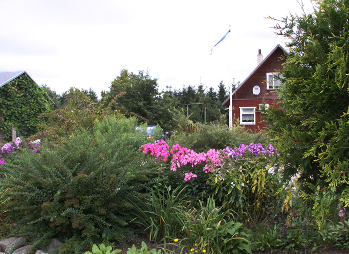 Konkurss Suure-Jaani valla Kaunis Kodu. Asu , Ivaski küla - tootmistalud I koht ja eripreemia "Lilled valda". - f_17_0520_T1_L_2_IMG_3215.jpg f_17_0520_T1_L_2_IMG_3215.jpg